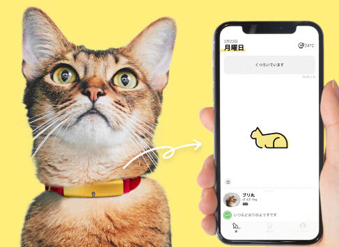 【Catlog】株式会社ＲＡＢＯ  愛猫をいつも近くに感じる次世代の首輪